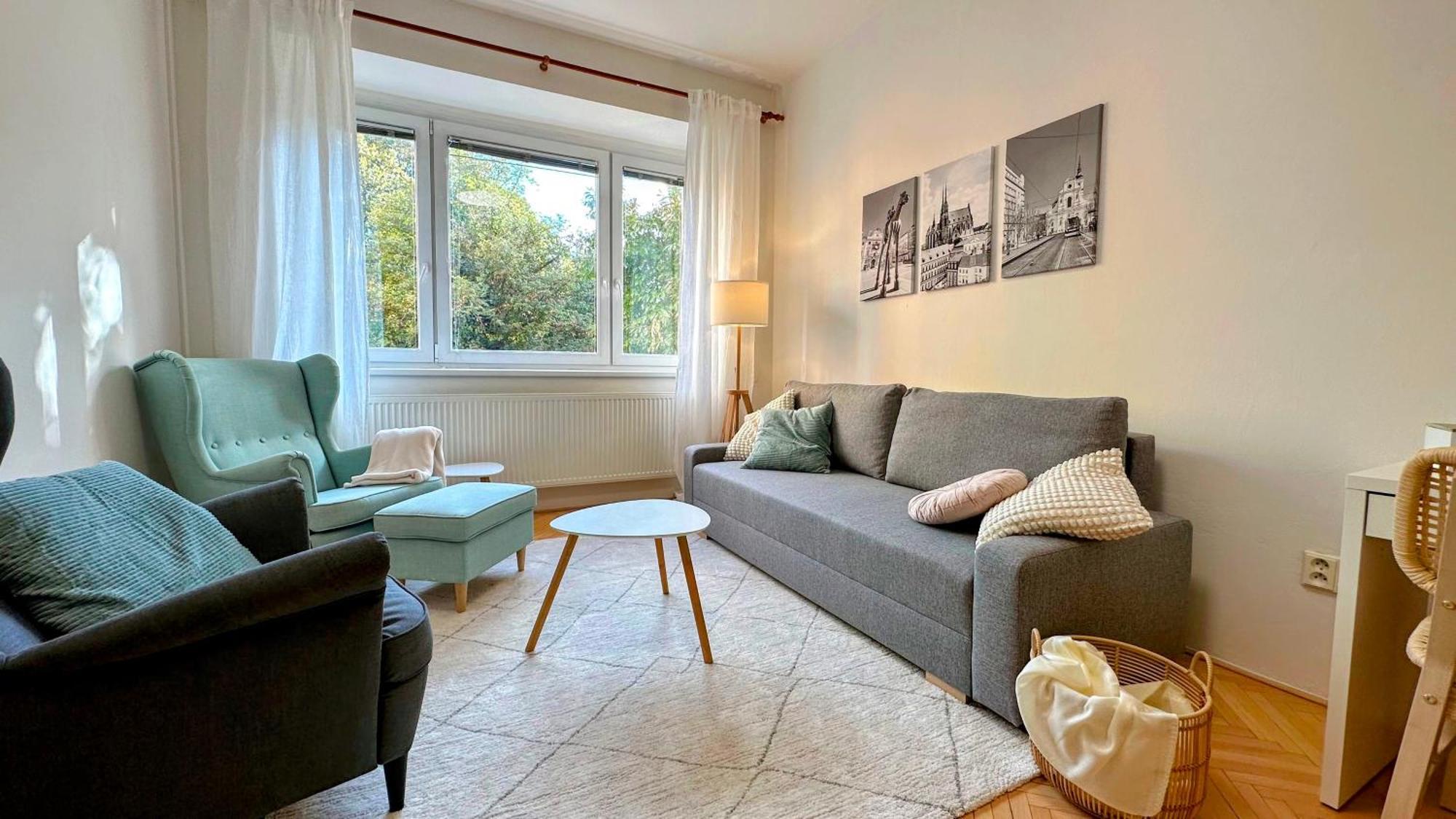 ברנו Apartman S Balkonem U Parku & 15 Minut Do Centra מראה חיצוני תמונה
